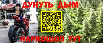 прущие крисы Бийск