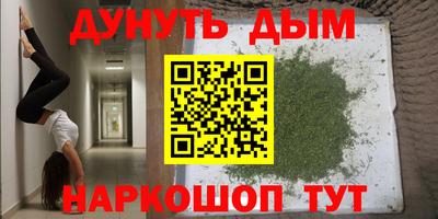 прущие крисы Бийск