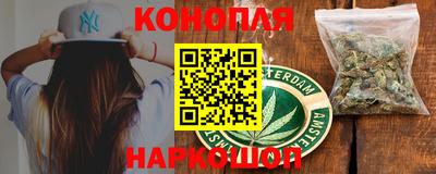 прущие крисы Бийск