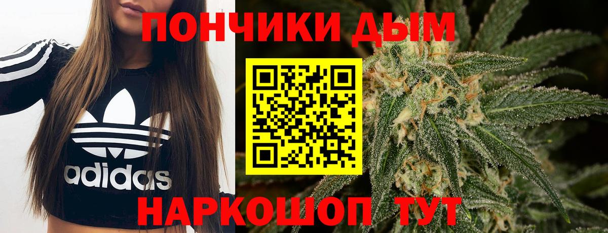 Шишки марихуана THC 21%  Вход с VPN  Кизилюрт  Марихуана план  Марихуана тримм 
